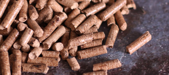 granulés de bois